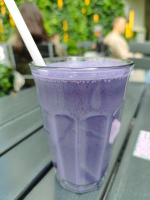 Balboa Power Protein Shake at roots - Schanzengraben in Zurich