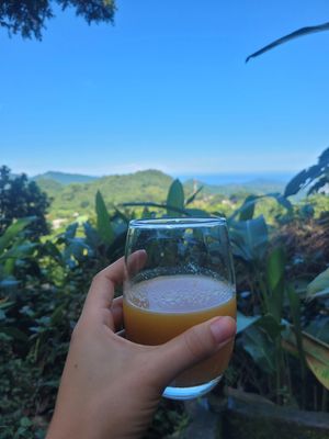 juice and views😍 at Casa Loma in Minca