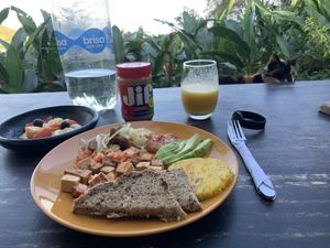   at Casa Loma in Minca