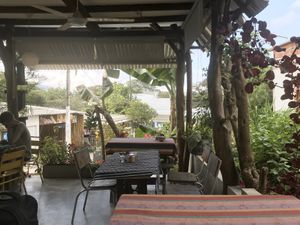 Inside or outside seating area at Duni in Minca