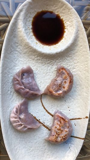 Vegetarian dumplings at Olinda Tea House in Olinda