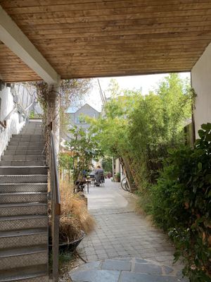 Hidden from the street  at The Cake Cafe in Dublin