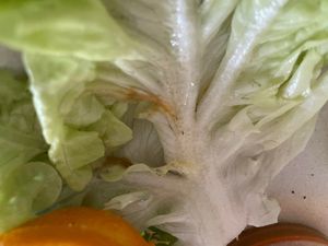   at In Guter Gesellschaft in Hamburg