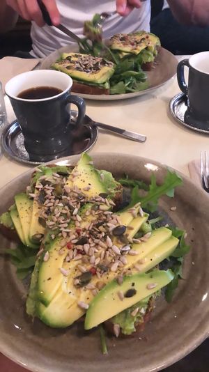 Avo on toast at Barnum Cafe in Rome