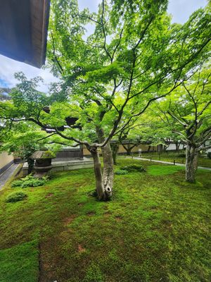  at Izusen - Kita in Kyoto