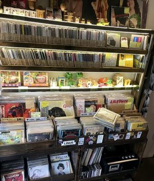 vinyls, cds at Pleased To Meet Me in Nara