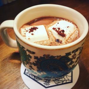 cocoa at Pleased To Meet Me in Nara