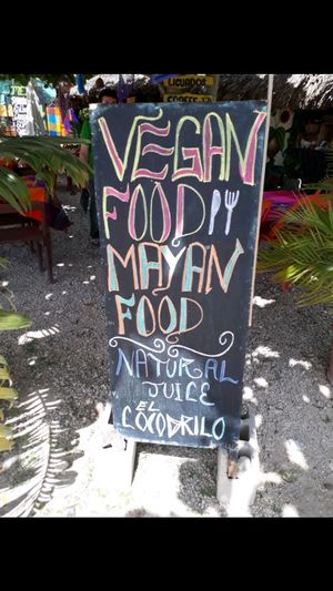 vegan mayan food at El Cocodrilo in Coba