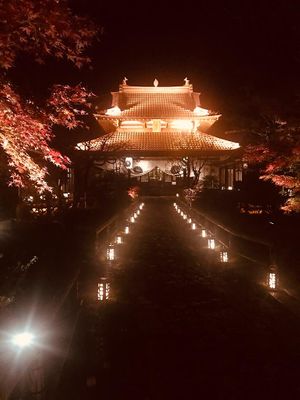 Arrival view at Kanga An in Kyoto
