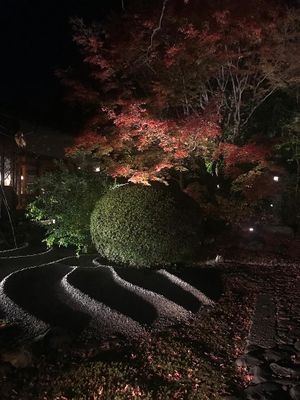 Garden at Kanga An in Kyoto