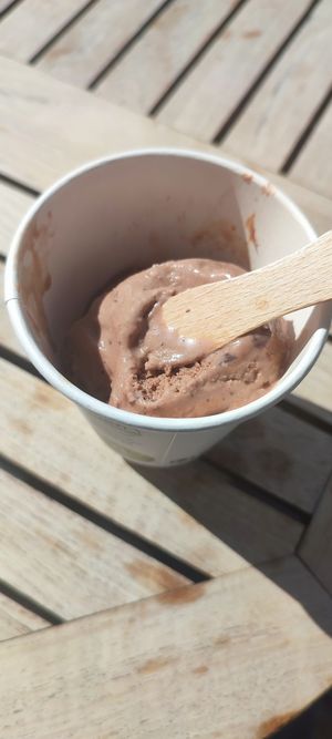 vegan chocolate icecream at Cafe Affenbrot in Luebeck