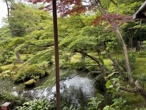 garden view  at Tofu Restaurant Seigen-in - 西源院 in Kyoto