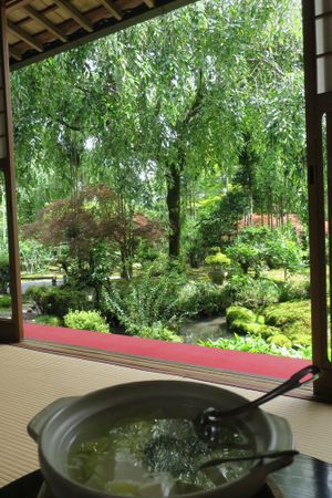 Worth it for the garden at Tofu Restaurant Seigen-in - 西源院 in Kyoto