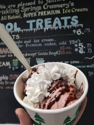 Vegan Sundae at The Pop Shop in Frederick