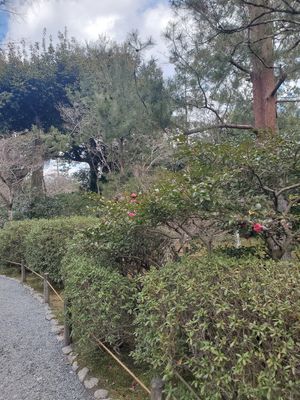  at Tenryuji Temple Shigetsu in Kyoto
