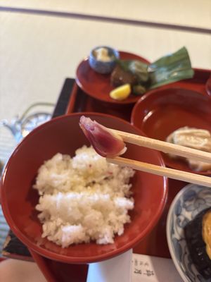   at Tenryuji Temple Shigetsu in Kyoto