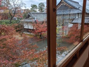View out the window at Tenryuji Temple Shigetsu in Kyoto