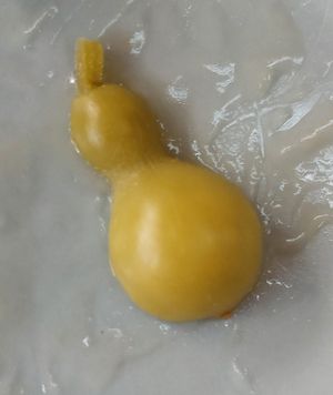 Pickled mini bottle gourd at Haku Un An in Kyoto