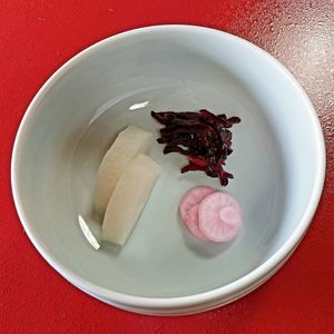  at Haku Un An in Kyoto