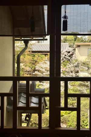 View of the garden from the window   at Haku Un An in Kyoto