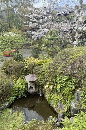 The lovely garden  at Haku Un An in Kyoto