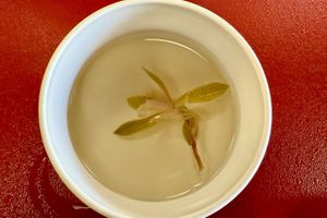 Cherry blossom soup  at Haku Un An in Kyoto