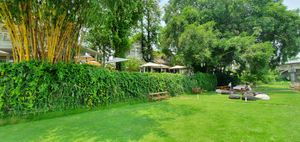 River lawn at Chivit Thamma Da in Chiang Rai