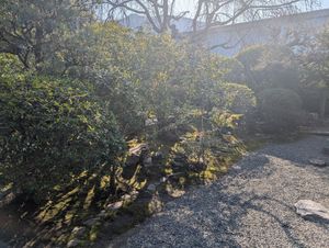  at Seizan Sodo in Kyoto