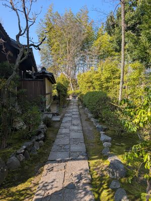  at Seizan Sodo in Kyoto