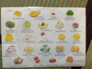   at Seizan Sodo in Kyoto