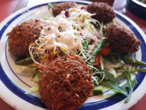 Falafel salad at Alfalfa in Leuven