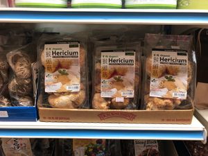 Monkeyhead mushrooms at Yong Xu Organic Enterprise in North Singapore