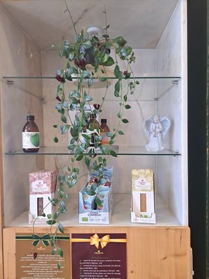 Shop at O Macrobiotico in Porto