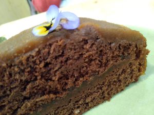 Bolo de Chocolate at O Macrobiotico in Porto
