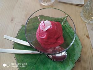 Mousse de framboesa at O Macrobiotico in Porto