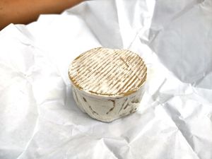 Hybrid cheese at Cremerie Vegane in Geneva