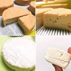 le Rousseau, le Voltaire et l'affiné at Cremerie Vegane in Geneva