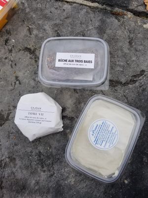 The tome, 3 pepper bûche, and garlic and herb cremeux at Cremerie Vegane in Geneva