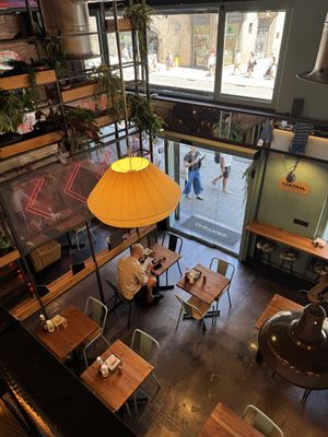 Inside (3/3).  at La Central in Barcelona