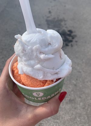 Vegan coconut and passion fruit at Sladoledarna in Koper