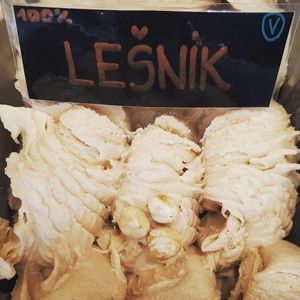 Vegan hazelnut ice cream at Sladoledarna in Koper