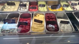 Vegan ice cream is labelled

Photo by: Sestra K. on Facebook at Sladoledarna in Koper