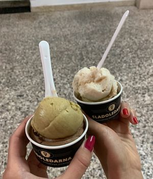 All vegan ice creams at Sladoledarna in Koper