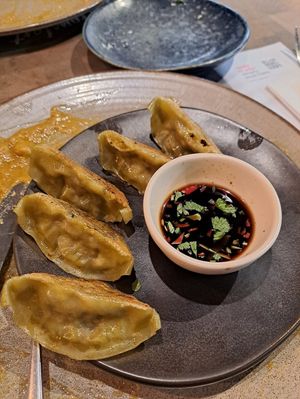 Vegetable gyoza at Wagamama in Birmingham