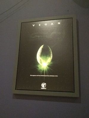 Inside at L'Embargo in Toulouse