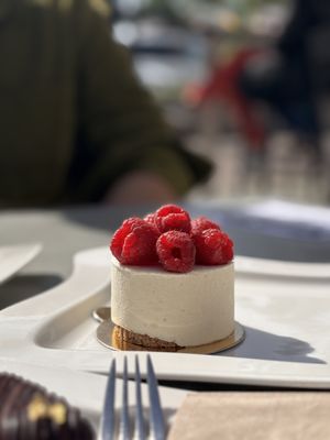   at Cafe Central in Portoroz