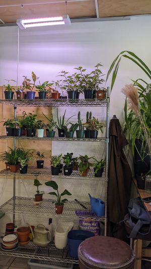  at Cafe Jardin in Verdun