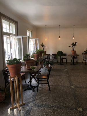 New location at Baznīcas iela 15 at Mazā Terapija in Riga