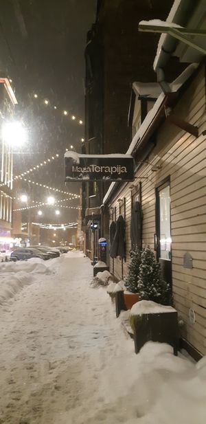 view from the snowy outside 🖤 at Mazā Terapija in Riga