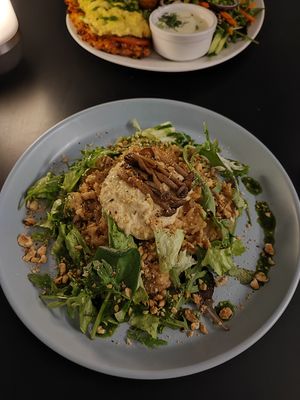 Mushroom risotto at Mazā Terapija in Riga